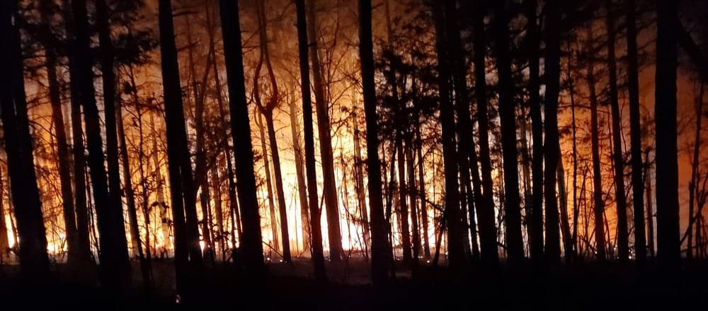 Fire