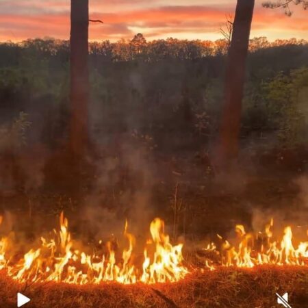 Fire2